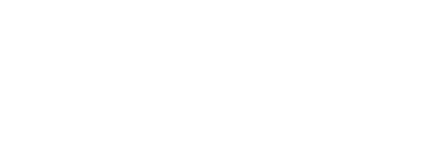 Item 5